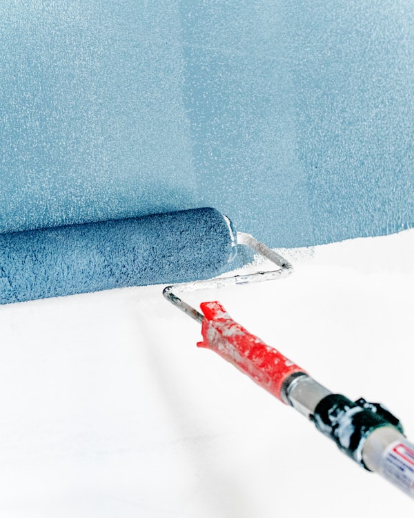 Professional Painter at Work